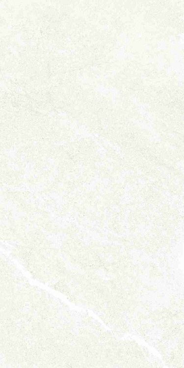 Dhara White Matte 12 x 24
